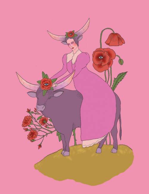 Toro